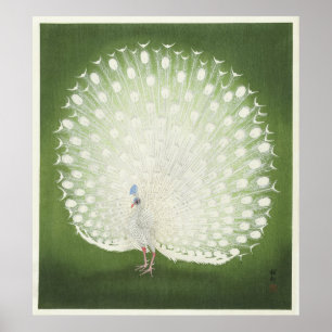 Peacock by Ohara Koson Vintage Print Poster