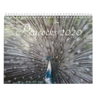 Peacock Calendar