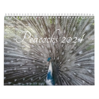 Peacock Calendar 2024