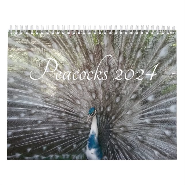 Peacock Calendar 2024 (Cover)