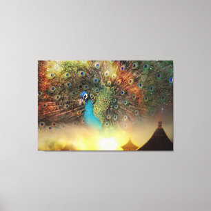 Peacock Canvas Print