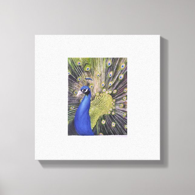Peacock Canvas Print (Front)