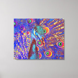 Peacock Canvas Print
