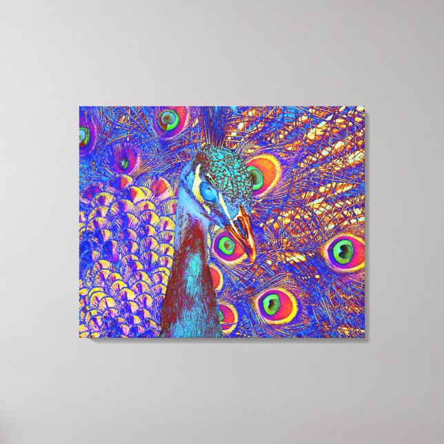 Peacock Canvas Print (Front)