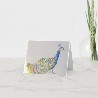 Peacock cards