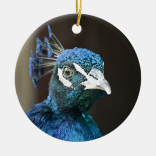 peacock ceramic tree decoration