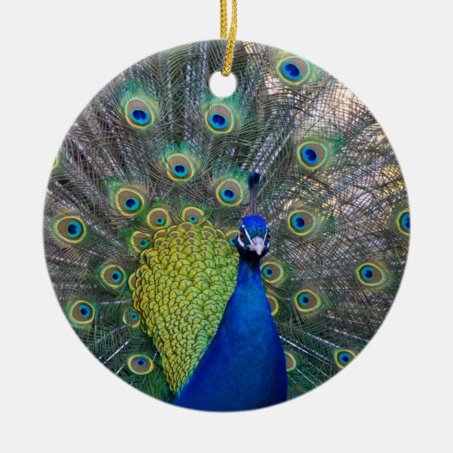 Peacock Christmas Ceramic Tree Decoration (Front)