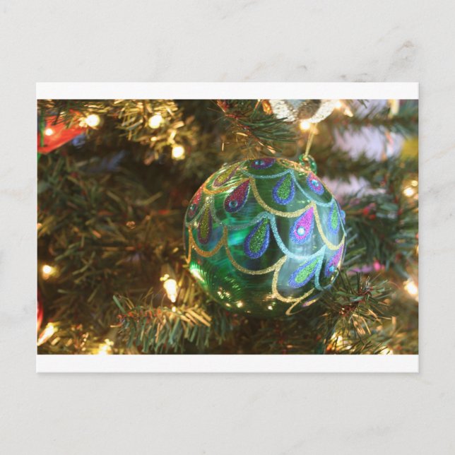 Peacock Christmas Holiday Postcard (Front)
