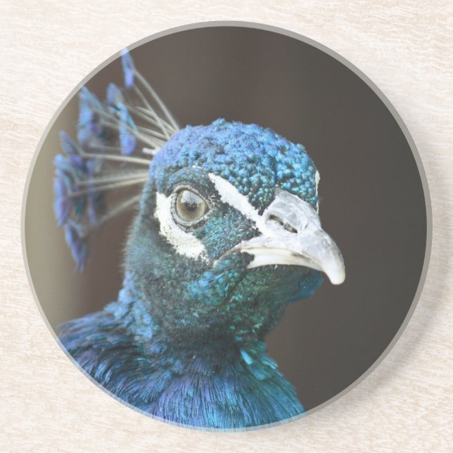peacock coaster (Front)