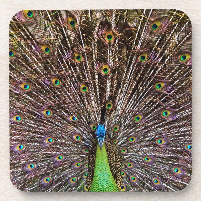 Peacock Coaster (Front)