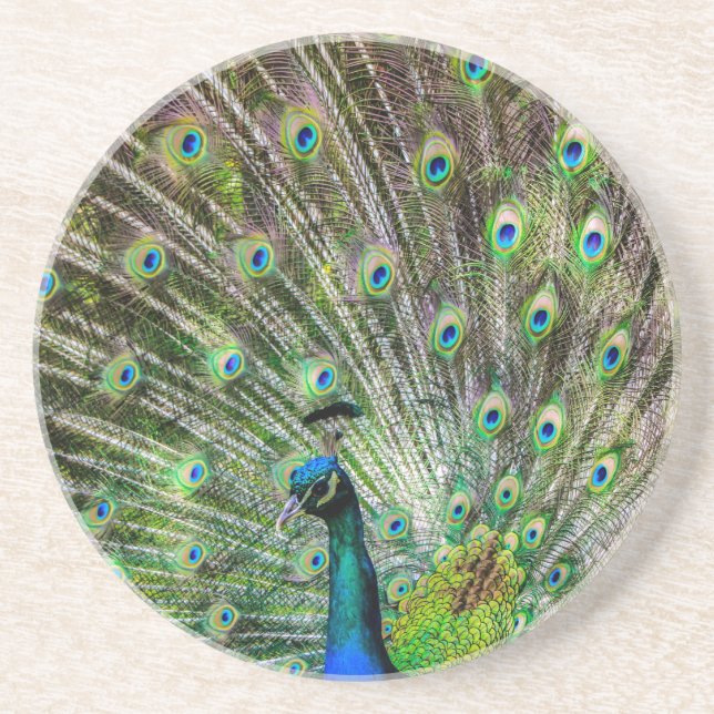 Peacock Coaster (Front)