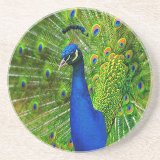 Peacock Coasters