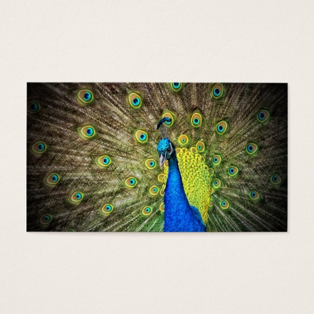 Peacock Colour Beauty (Front)
