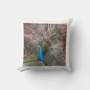 Peacock Cushion