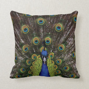 Peacock Cushion