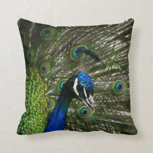 Peacock Cushion