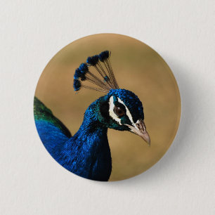 Peacock customisable badges & buttons