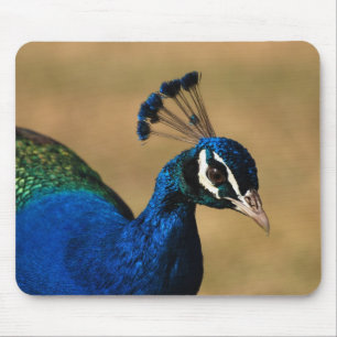 Peacock customisable mousemats & mousepad