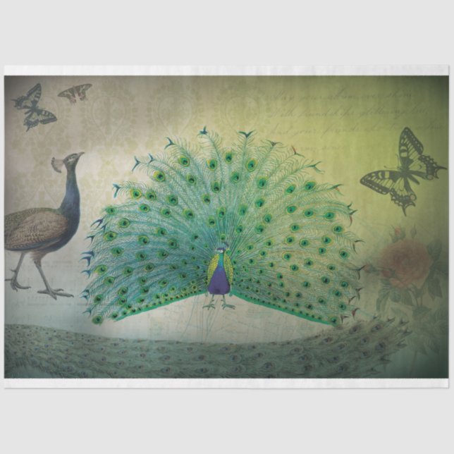 Peacock Decoupage Paper (Front)