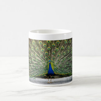peacock design coffee mug