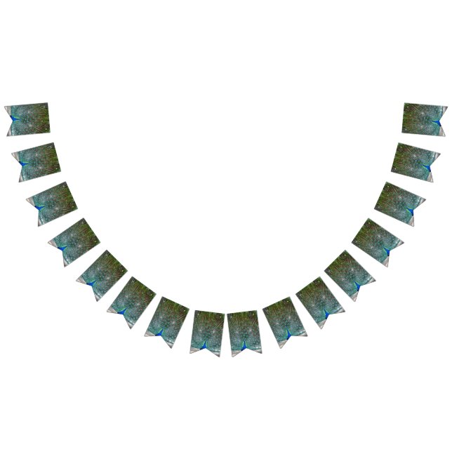 Peacock Design Party Banner (All)