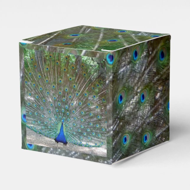 Peacock Design Party Favour Box (Front Side)