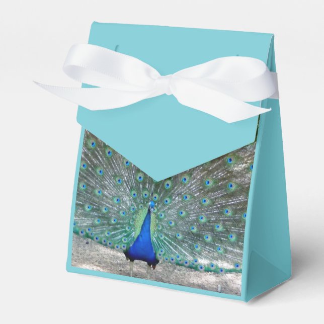 Peacock Design Party Favours Box (Front Side)