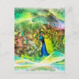Peacock Digital Painting Postcard