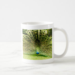 Peacock Display Colours Coffee Mug