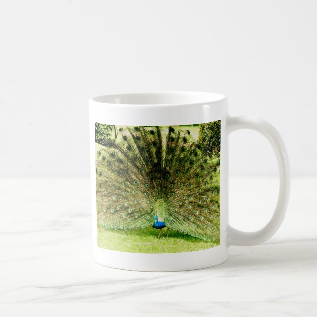 Peacock Display Colours Coffee Mug (Right)