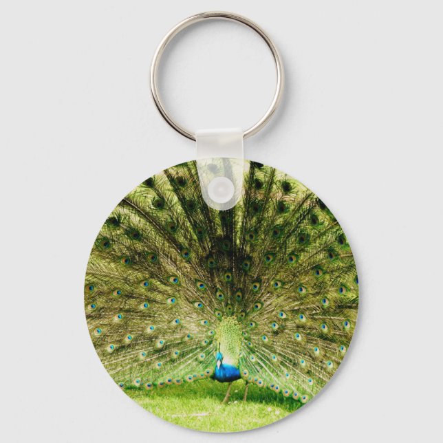 Peacock Display Colours Key Ring (Front)