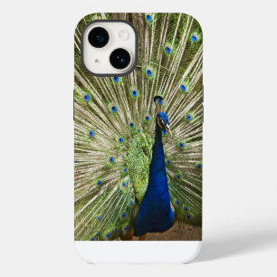 Peacock Display iPhone 14 Case