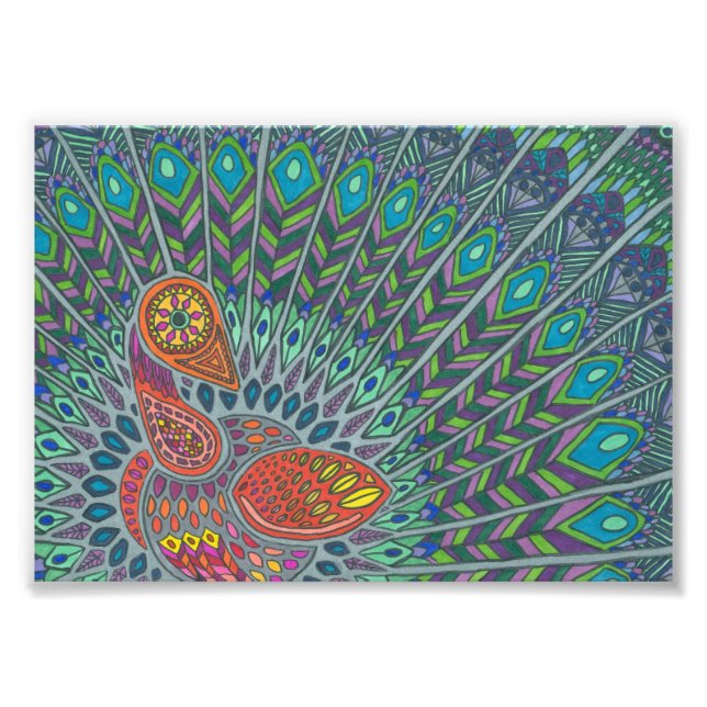 Peacock Drawing Photo (Front)