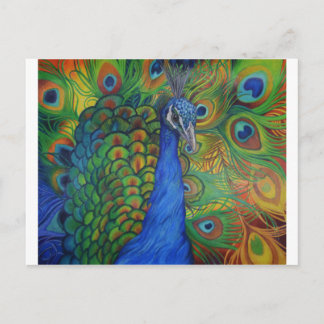 Peacock Drawing Postcard