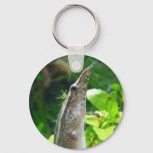 Peacock Eel "Elvis" Key Ring