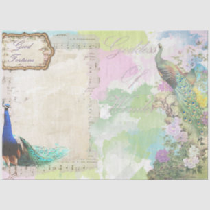 Peacock Ephemera 5 Tissue Paper