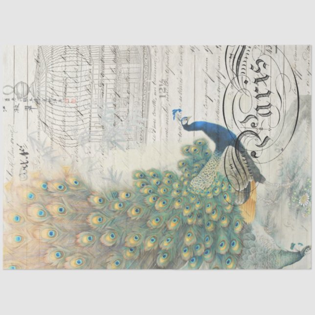 Peacock Ephemera Decoupage Paper (Front)
