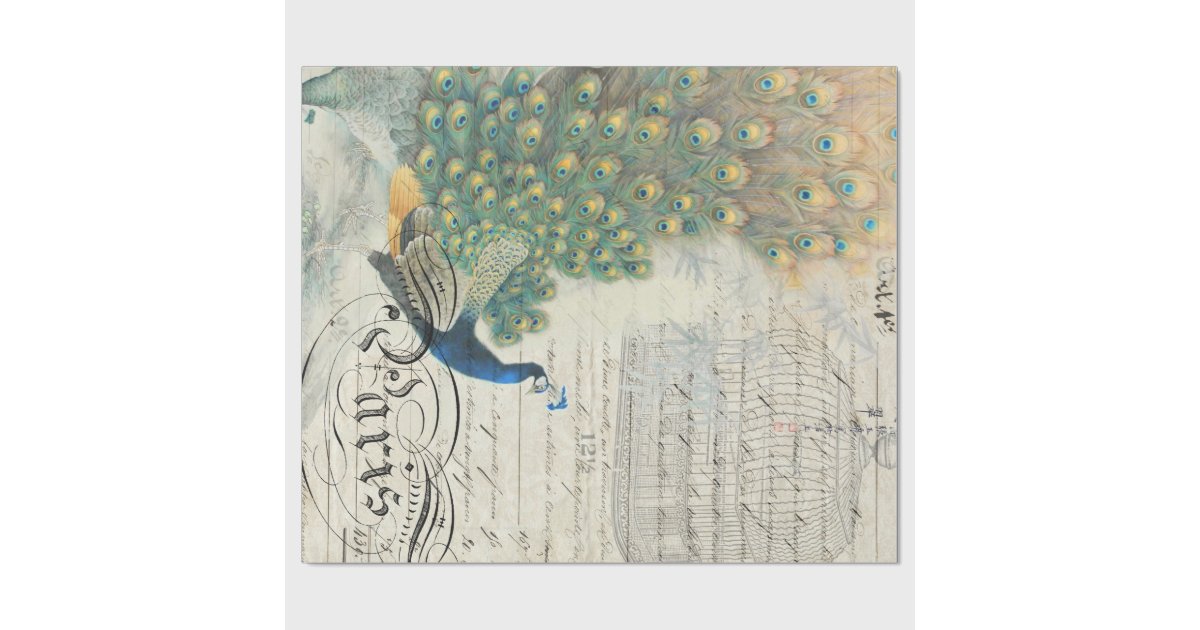 Peacock Ephemera Decoupage Paper Zazzle
