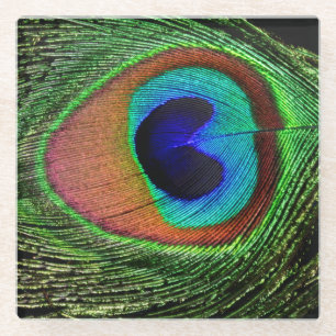 Peacock Eye Glass Coaster
