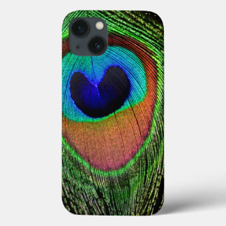 Peacock Eye iPad Case