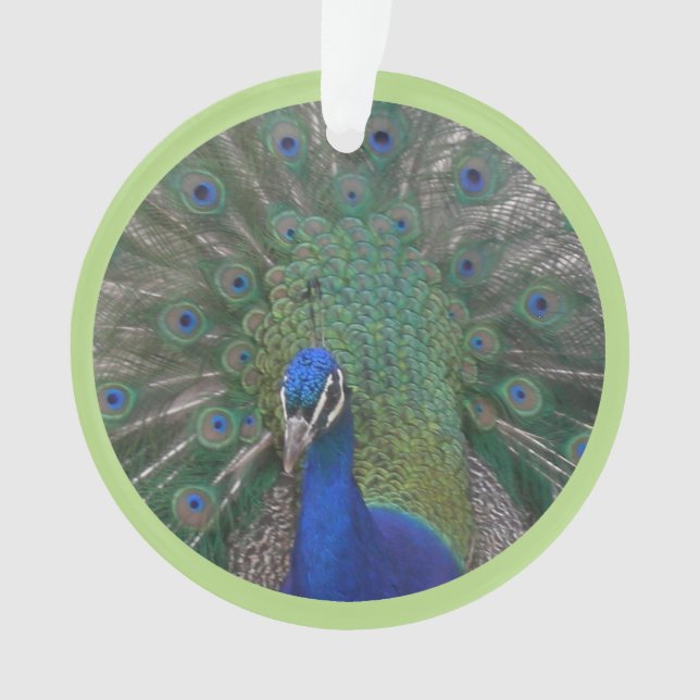Peacock Face & Feathers Cust. Ornament (Front)