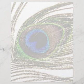 Peacock Feather
