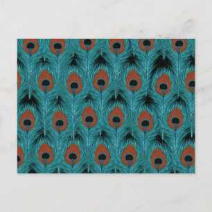 Peacock Feather Art Peacocks Feathers Artwork      Postcard