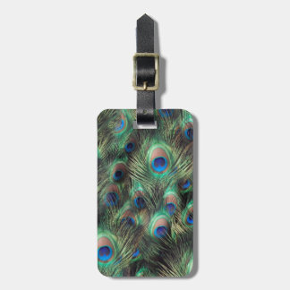 Peacock Feather Background Luggage Tag