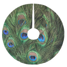 Peacock Feather