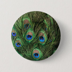 Peacock Feather Button