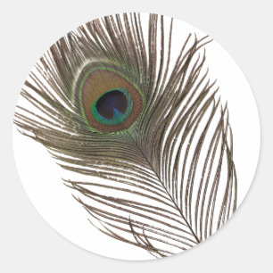 Peacock feather classic round sticker
