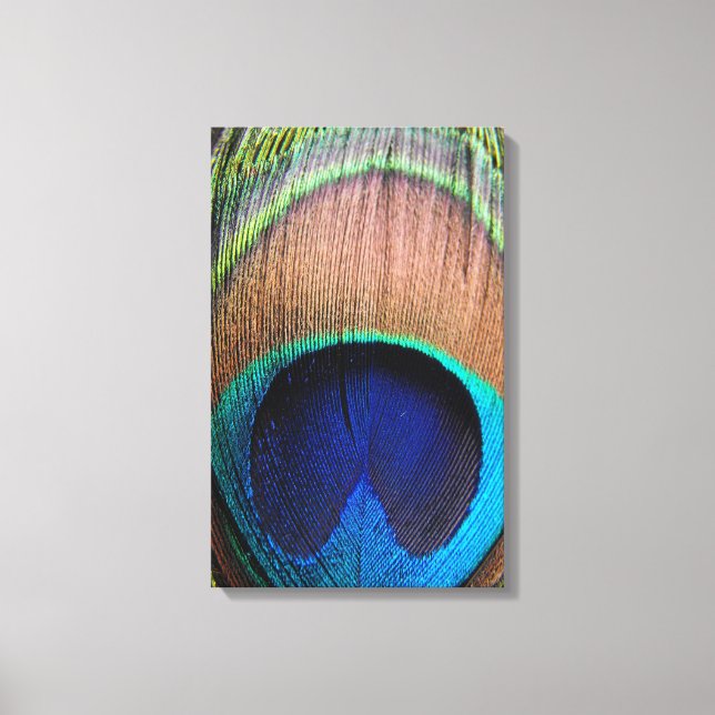 Peacock Feather Close-Up Detail Photo Canvas Print (Front)