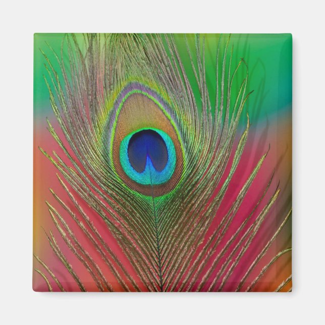 Peacock feather close-up magnet (Front)