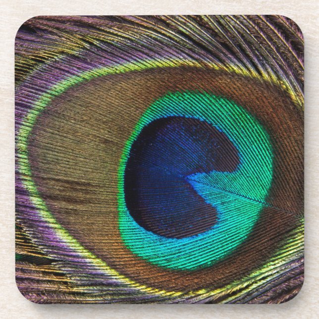 peacock feather coaster (Front)